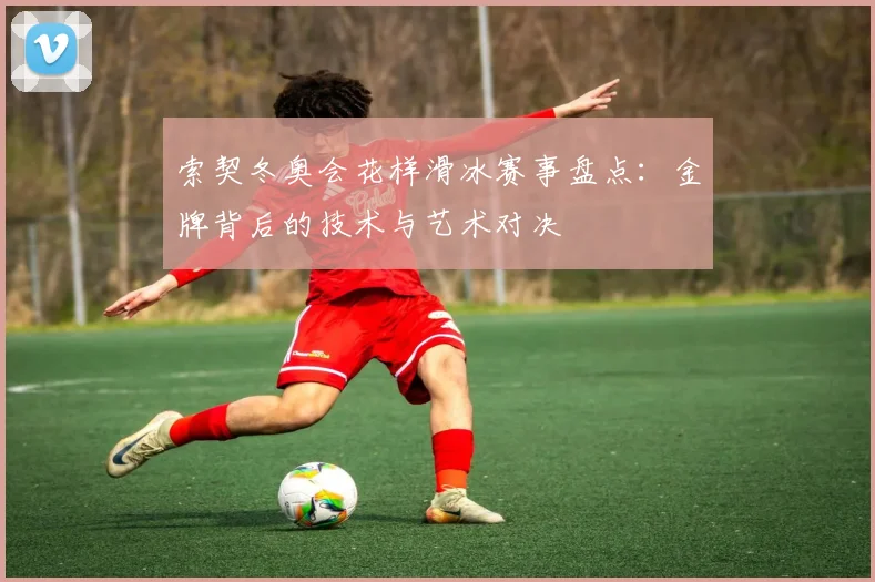 索契冬奥会花样滑冰赛事盘点：金牌背后的技术与艺术对决