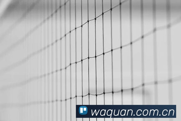 App Interface Preview